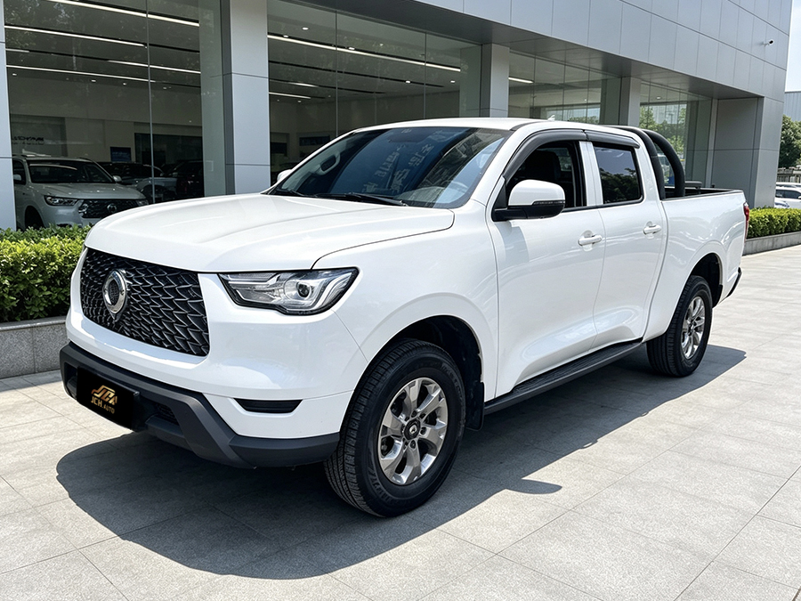 GWM Poer Wx1