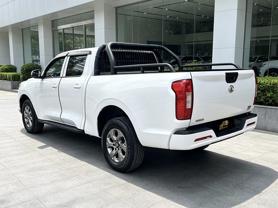 GWM Poer Wx2