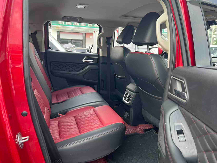 GWM Poer x5